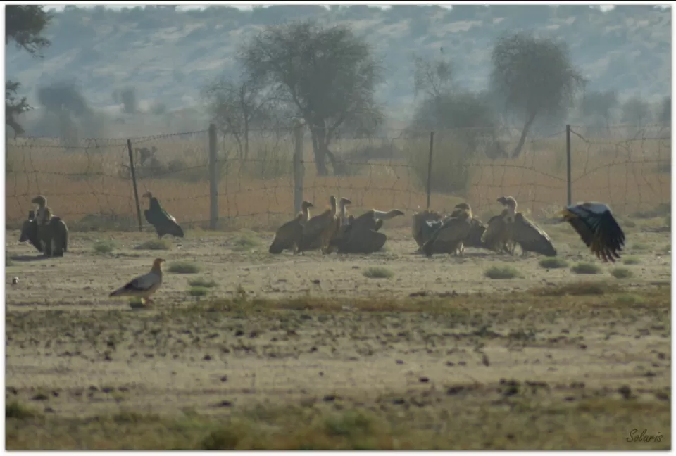 Photo of Jaisalmer, Rajasthan, India by Sonya V. Anchan