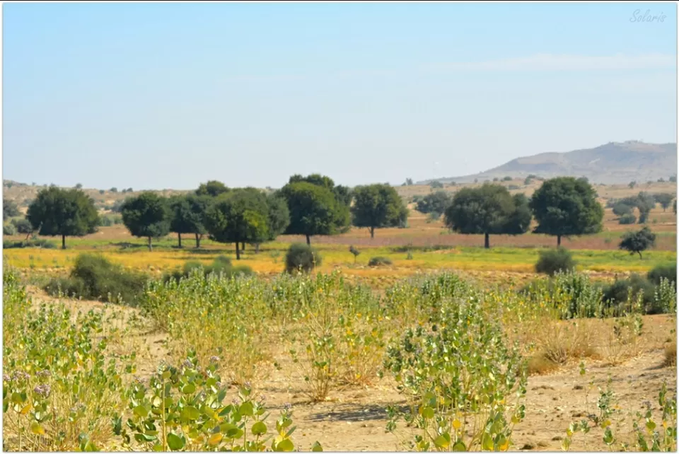 Photo of Jaisalmer, Rajasthan, India by Sonya V. Anchan