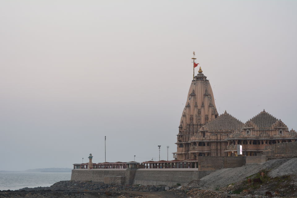 Photo of Backpacking across Somnath - Sasangir - Junagadh 1/18 by Sonya V. Anchan