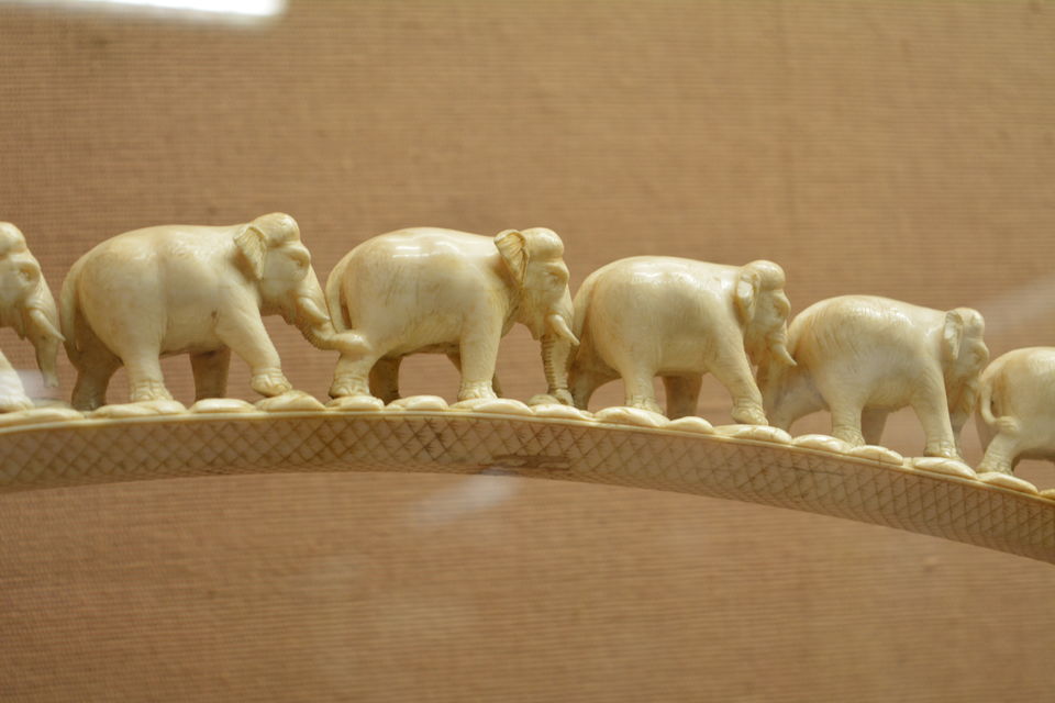 Photo of Get Set Go.. Trip to Hyderabad - Warangal -Lepakshi 53/146 by Sonya V. Anchan