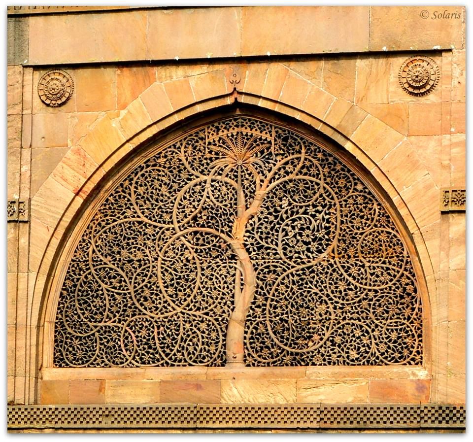 Photo of Sidi Saiyad Masjid, Ahmedabad, Gujarat, India by Sonya V. Anchan