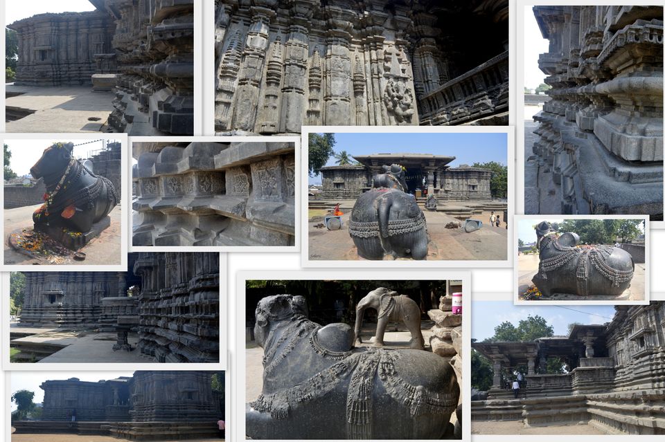 Photo of Thousand Pillar Temple, Brahmanawada, Hanamkonda, Telangana, India by Sonya V. Anchan