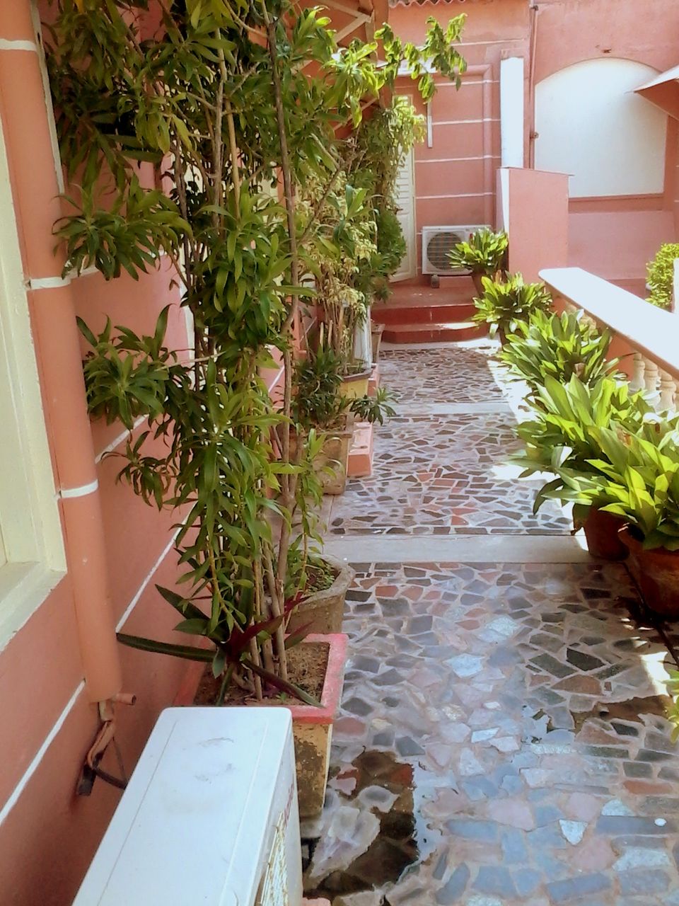 Photo of French villa, rue suffren, pondicherry by Davapriya