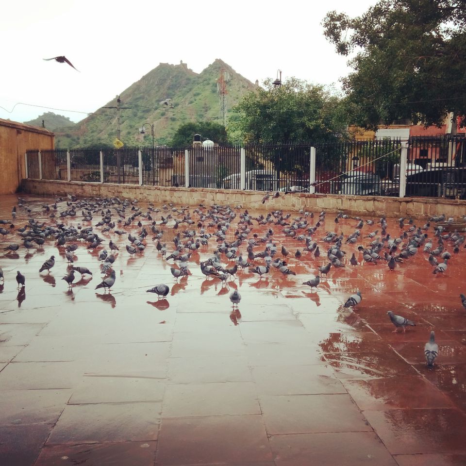 Photo of Jaipur- My first solo experience by Arvind