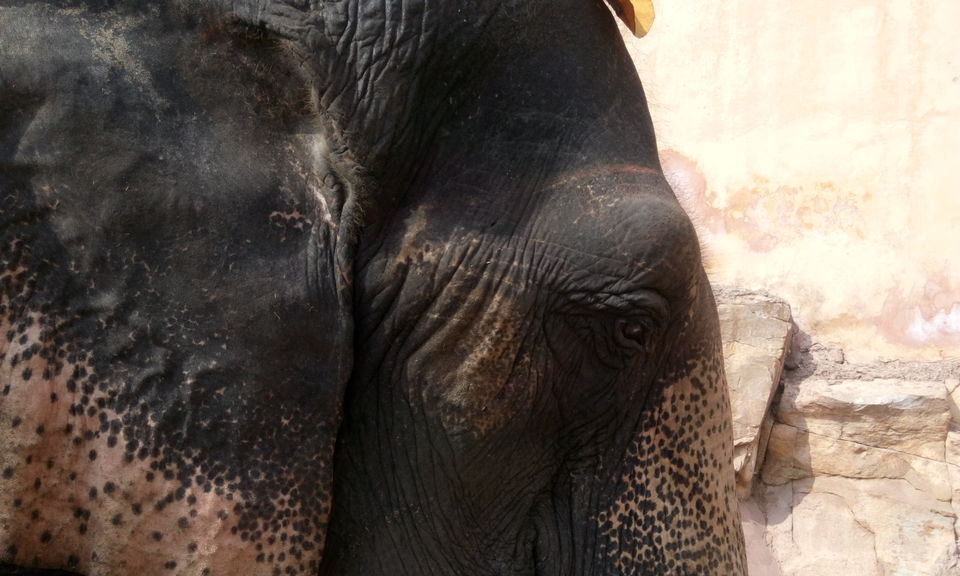Photo of Jaipur- My first solo experience by Arvind