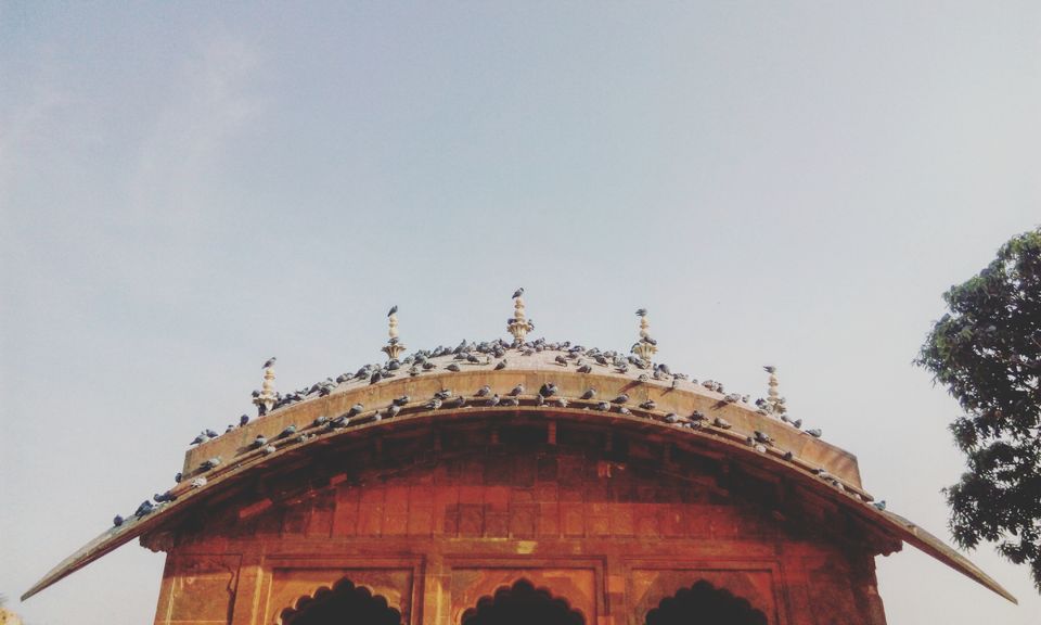 Photo of Jaipur- My first solo experience by Arvind