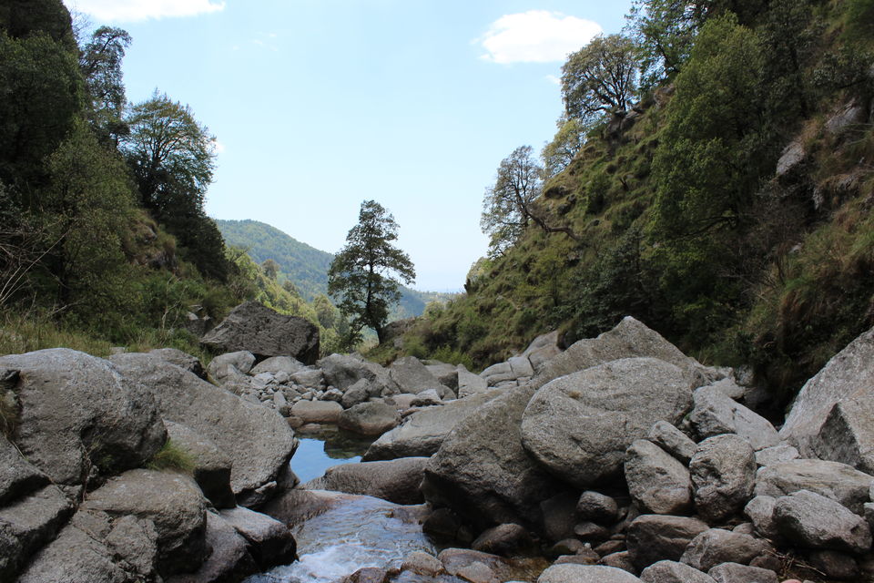 Photo of Trekking Himachal Pradesh Solo Part-2 (Triund Trek) 5/16 by Arvind