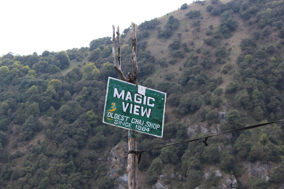 Photo of Trekking Himachal Pradesh Solo Part-2 (Triund Trek) 8/16 by Arvind