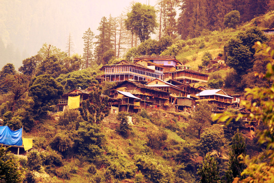 Photo of Trekking Himachal Pradesh Solo Part- 3 (Chandrakhani pass trek) 1/11 by Arvind