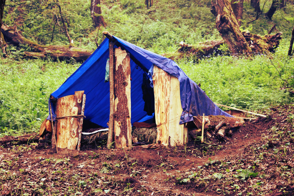 Photo of Trekking Himachal Pradesh Solo Part- 3 (Chandrakhani pass trek) 3/11 by Arvind