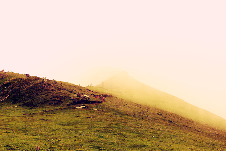 Photo of Trekking Himachal Pradesh Solo Part- 3 (Chandrakhani pass trek) 7/11 by Arvind