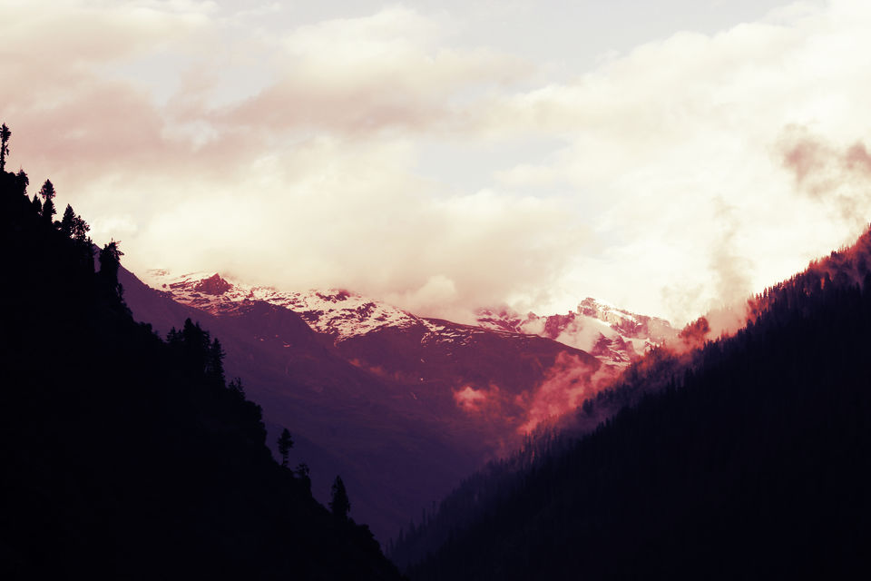 Photo of Trekking Himachal Pradesh Solo Part- 3 (Chandrakhani pass trek) 10/11 by Arvind