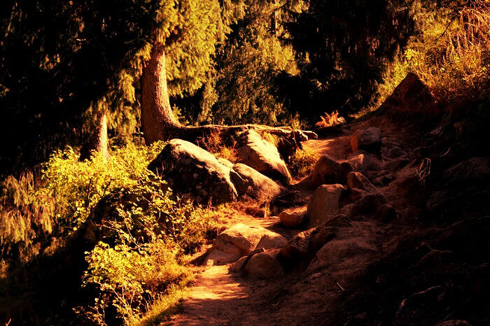 Photo of Trekking Himachal Pradesh Solo Part-4 (Kheerganga trek) 8/14 by Arvind