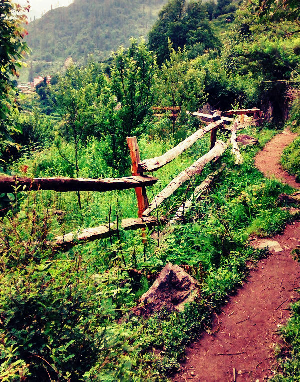 Photo of Trekking Himachal Pradesh Solo Part-4 (Kheerganga trek) 5/14 by Arvind