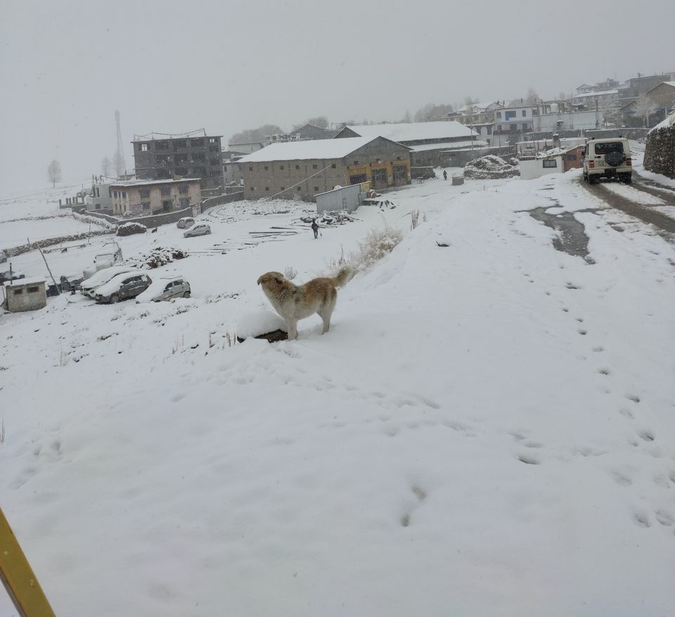 Photo of Spiti - An Experience Nov 2019 #spitivalley #solotraveler #trekking #himachalpradesh #mountains 22/24 by RawXpression(Astin)