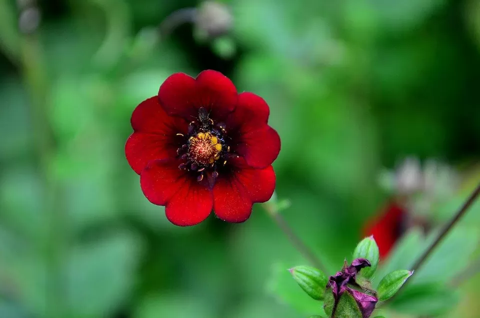 Photo of New Delhi, Delhi, India by Jishnu Sen