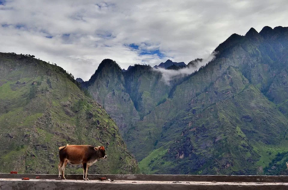 Photo of New Delhi, Delhi, India by Jishnu Sen