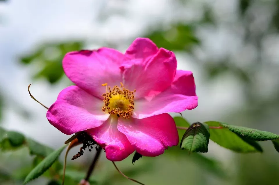 Photo of New Delhi, Delhi, India by Jishnu Sen