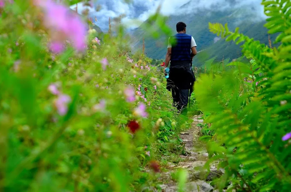 Photo of New Delhi, Delhi, India by Jishnu Sen