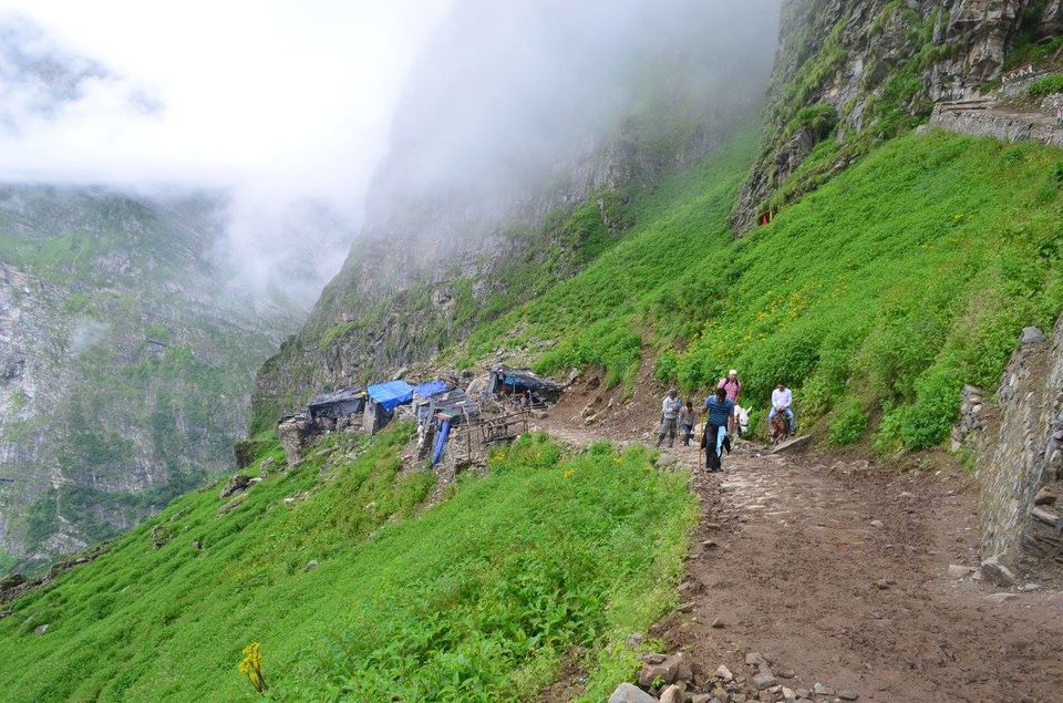 Photo of Trek to Valley of Flowers & Hemkund Sahib 30/39 by Jishnu Sen