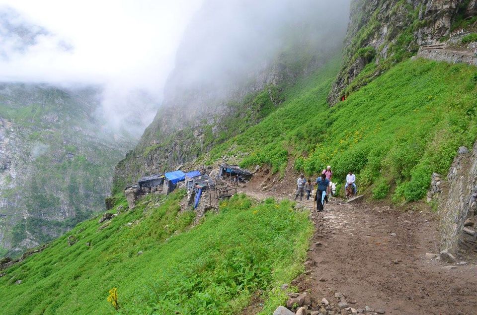 Trek To Valley Of Flowers Hemkund Sahib Tripoto