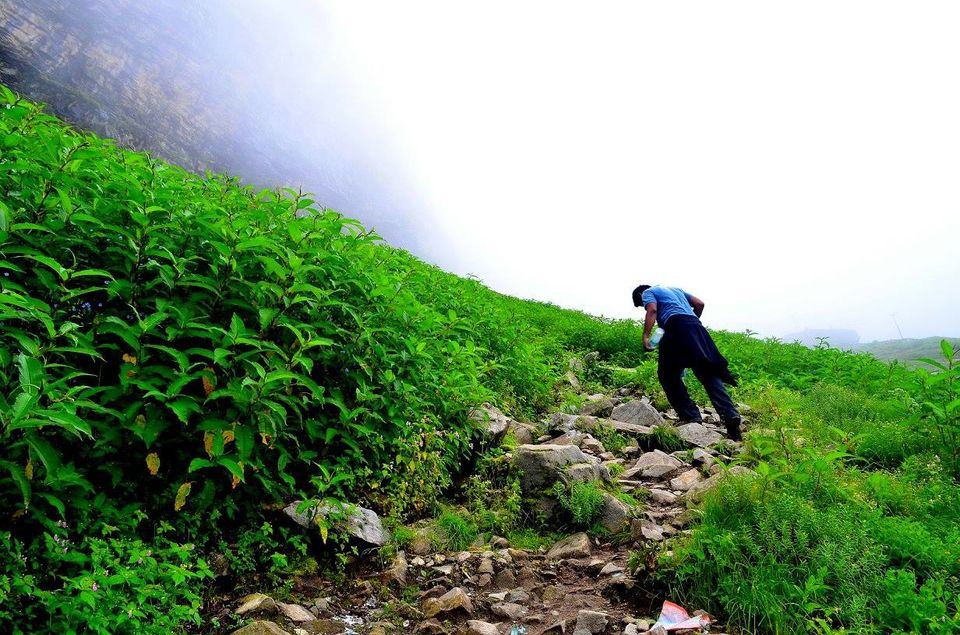 Photo of Trek to Valley of Flowers & Hemkund Sahib 31/39 by Jishnu Sen