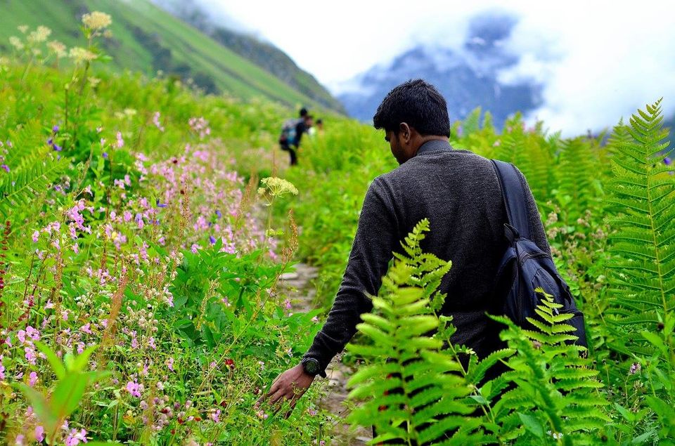 Photo of Trek to Valley of Flowers & Hemkund Sahib 16/39 by Jishnu Sen