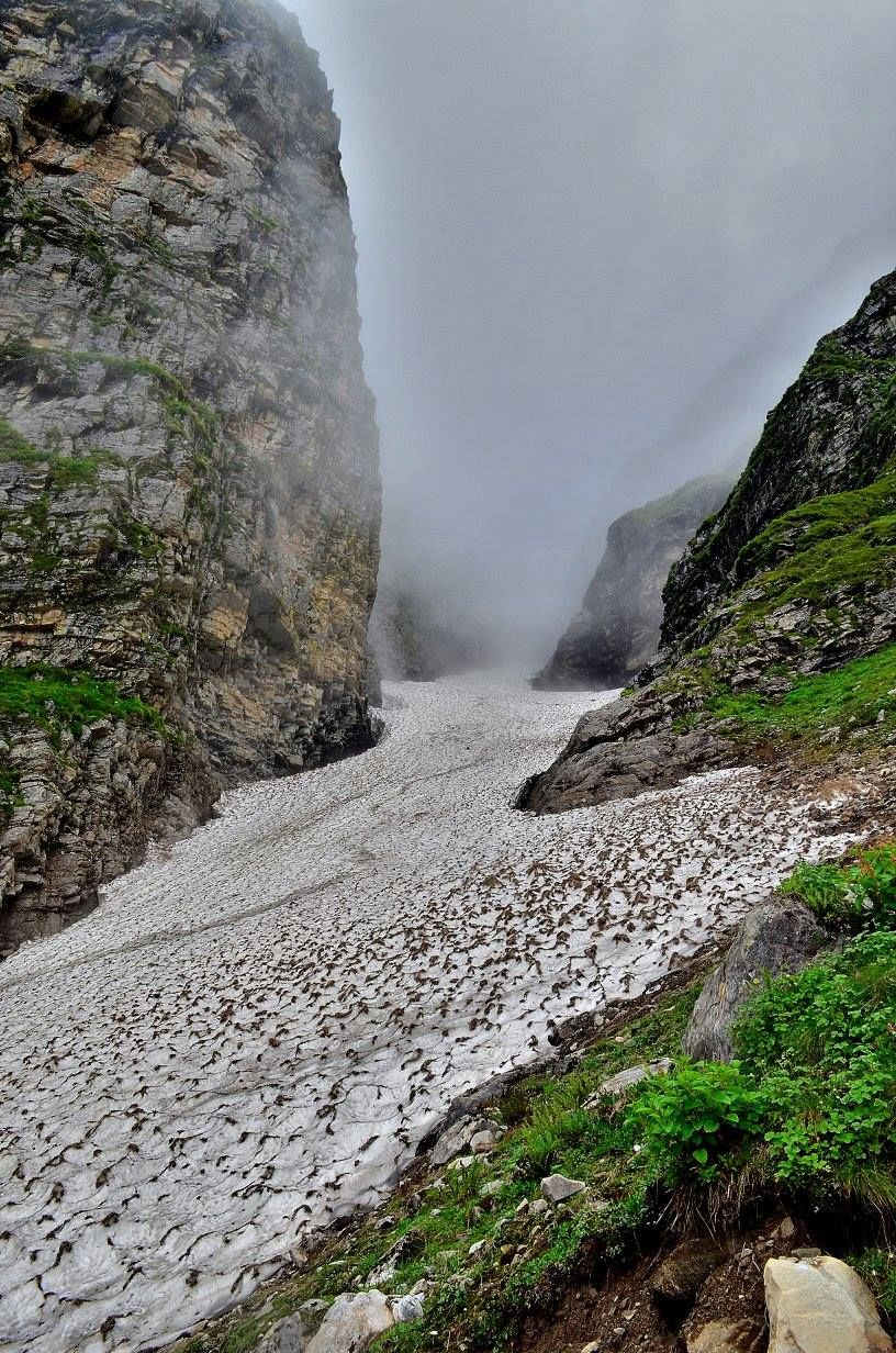 Photo of Trek to Valley of Flowers & Hemkund Sahib 35/39 by Jishnu Sen