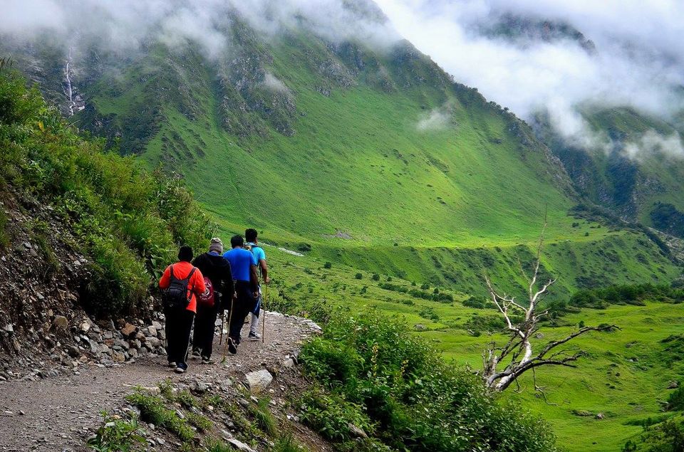 Photo of Trek to Valley of Flowers & Hemkund Sahib 9/39 by Jishnu Sen