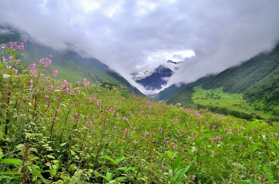 Photo of Trek to Valley of Flowers & Hemkund Sahib 12/39 by Jishnu Sen
