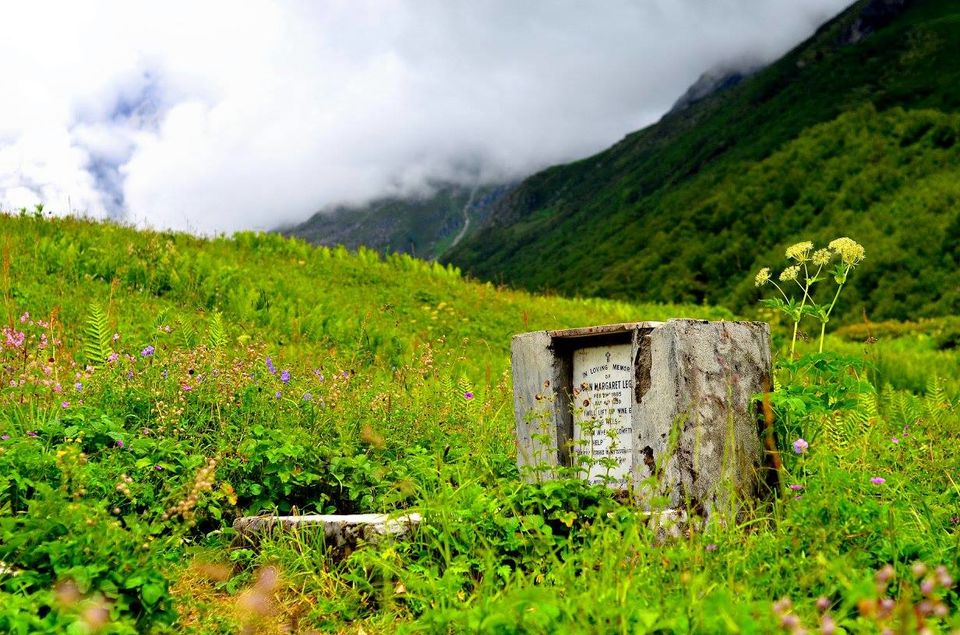 Photo of Trek to Valley of Flowers & Hemkund Sahib 26/39 by Jishnu Sen