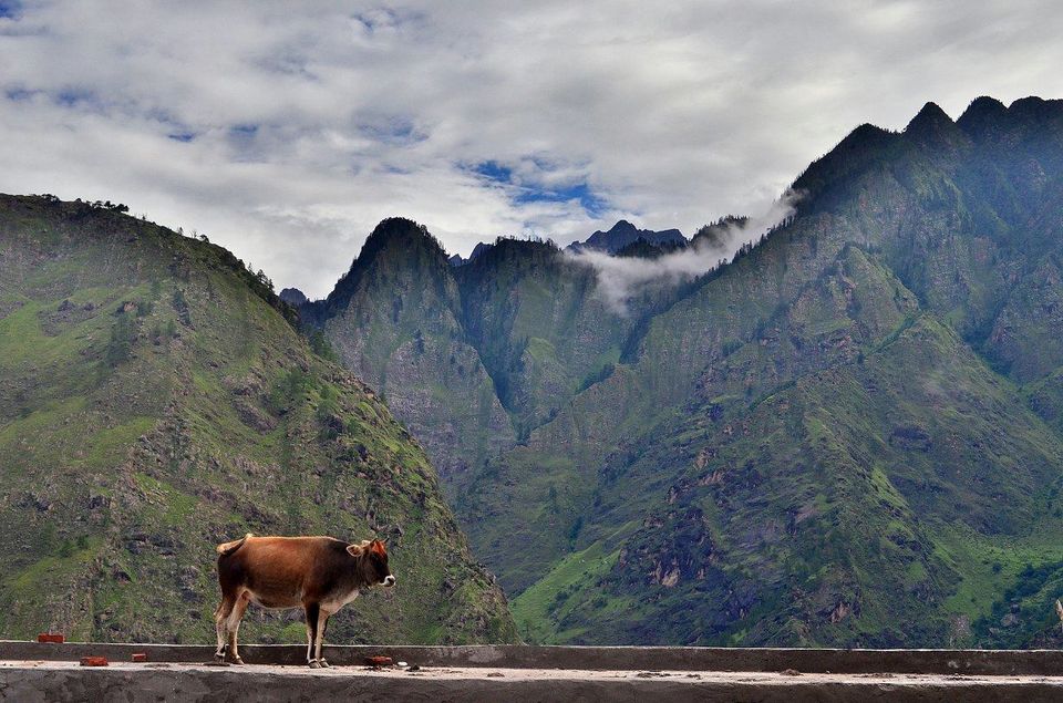 Photo of Trek to Valley of Flowers & Hemkund Sahib 2/39 by Jishnu Sen