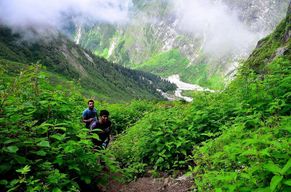 Photo of Trek to Valley of Flowers & Hemkund Sahib 29/39 by Jishnu Sen
