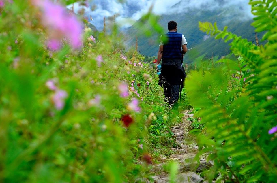 Photo of Trek to Valley of Flowers & Hemkund Sahib 18/39 by Jishnu Sen