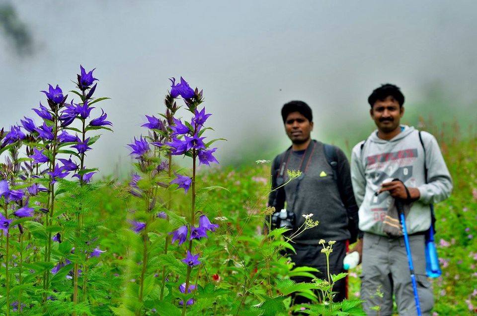 Photo of Trek to Valley of Flowers & Hemkund Sahib 19/39 by Jishnu Sen