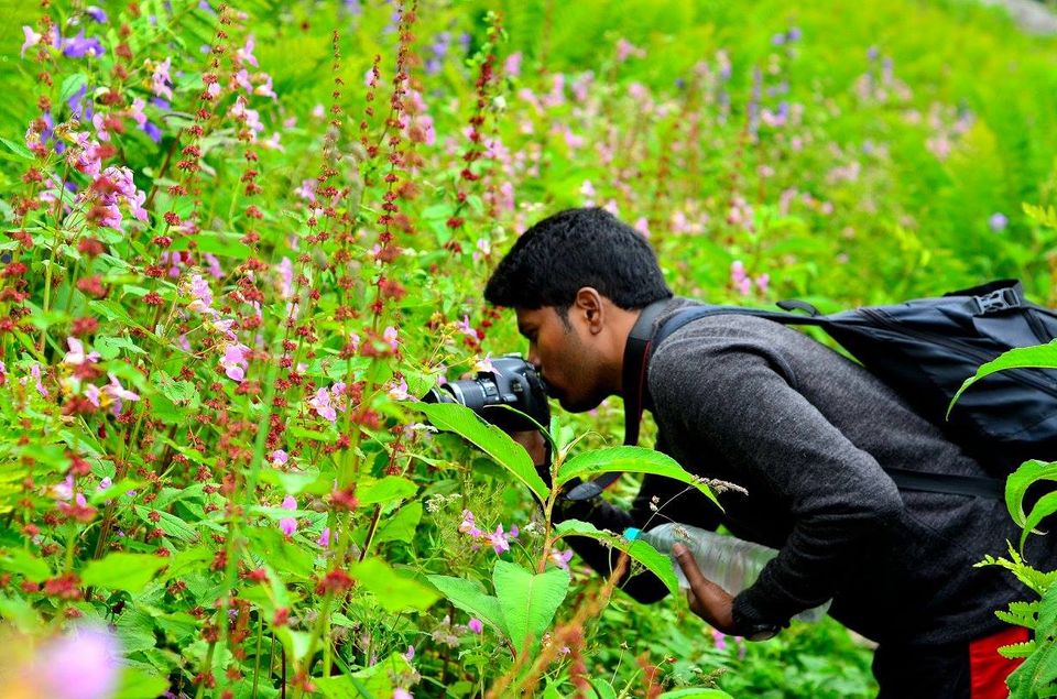 Photo of Trek to Valley of Flowers & Hemkund Sahib 20/39 by Jishnu Sen