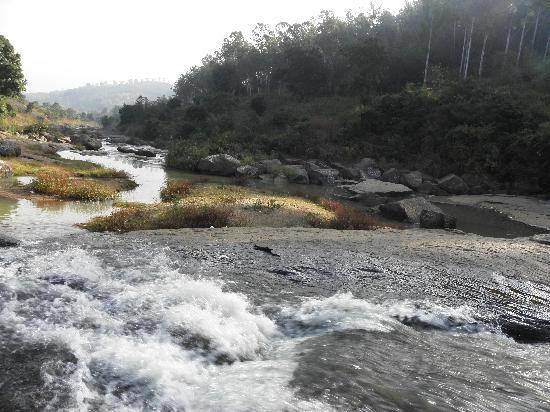 Photo of En-route Araku 4/7 by Dilip Varma