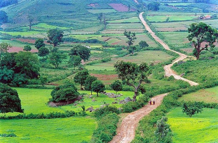Photo of En-route Araku 5/7 by Dilip Varma