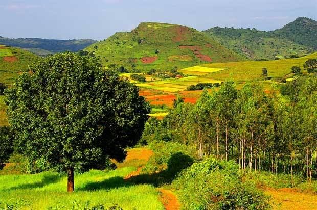 Photo of En-route Araku 6/7 by Dilip Varma