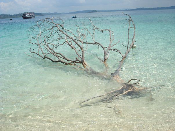 Photo of Elephant Beach, South Andaman, Andaman and Nicobar Islands, India by tamanna tripathy