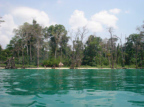 Photo of Elephant Beach, South Andaman, Andaman and Nicobar Islands, India by tamanna tripathy
