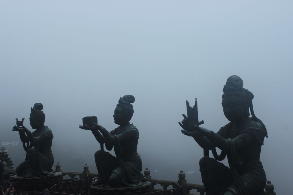Photo of Explore Hong Kong and Macau in 5 days 11/15 by Tamanna Tripathy