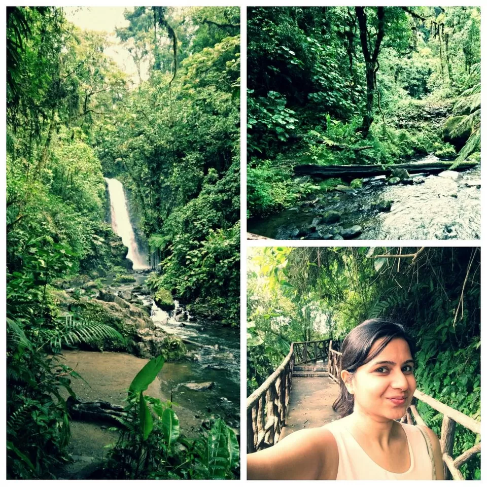 Photo of La Paz Waterfall, Alajuela Province, Costa Rica by Tamanna Tripathy