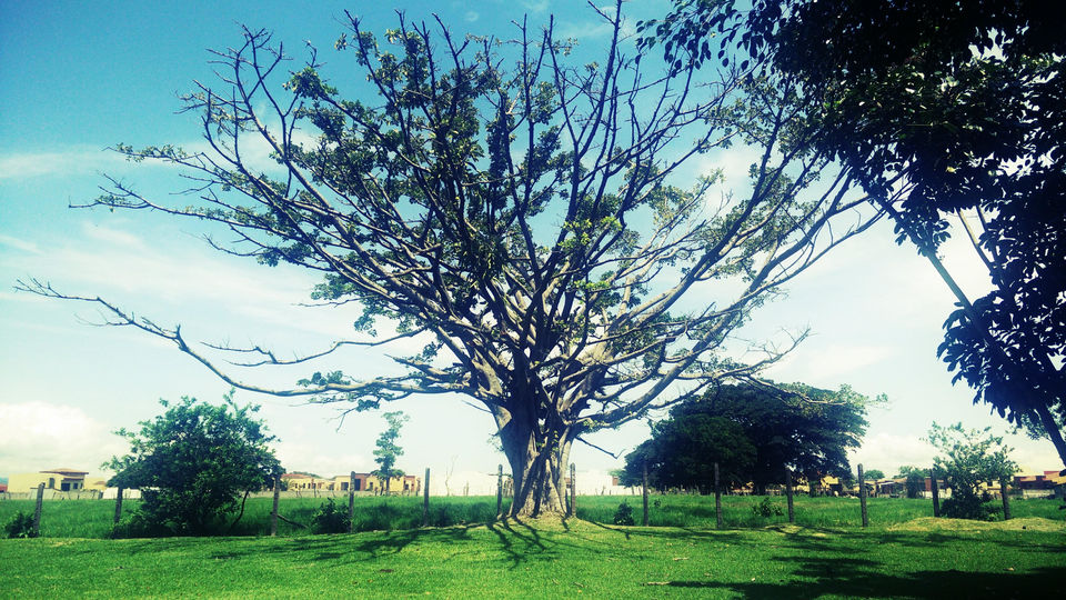 Photo of A day out in the Costa Rican tropical rainforests - Pura Vida ! 1/3 by Tamanna Tripathy