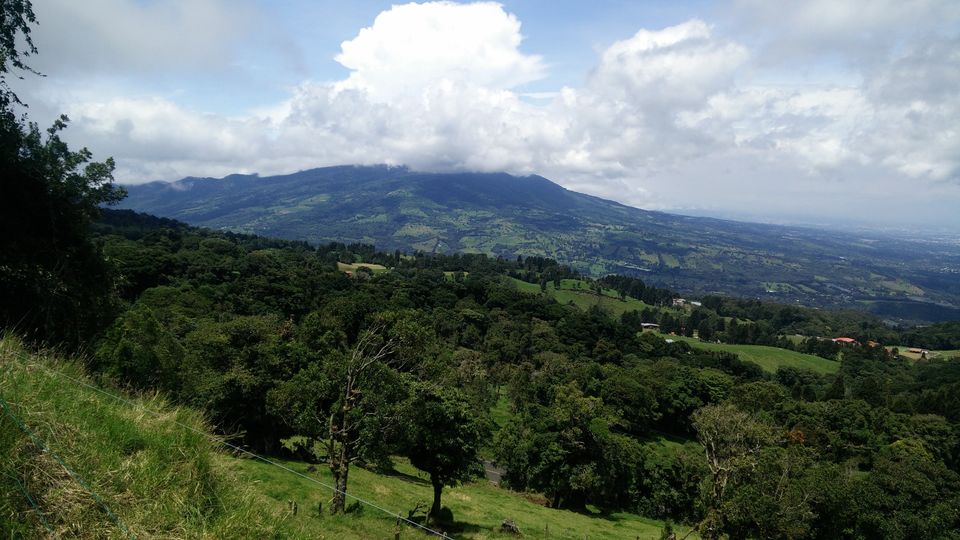 Photo of A day out in the Costa Rican tropical rainforests - Pura Vida ! 3/3 by Tamanna Tripathy