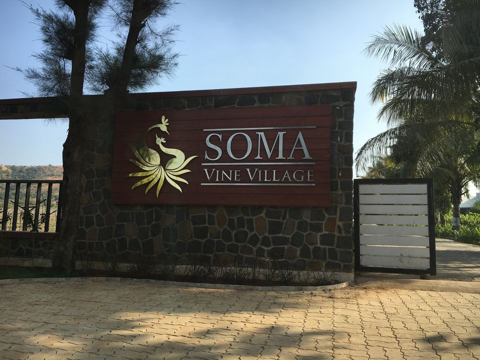 Photo of Vineyards at Nashik - It's not just Sula !! 2/3 by Tamanna Tripathy