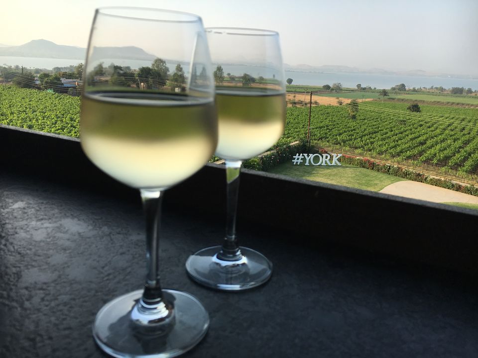 Photo of York Winery & Tasting Room, Gangapur-Savargaon Road, Gangavarhe, Maharashtra, India by Tamanna Tripathy