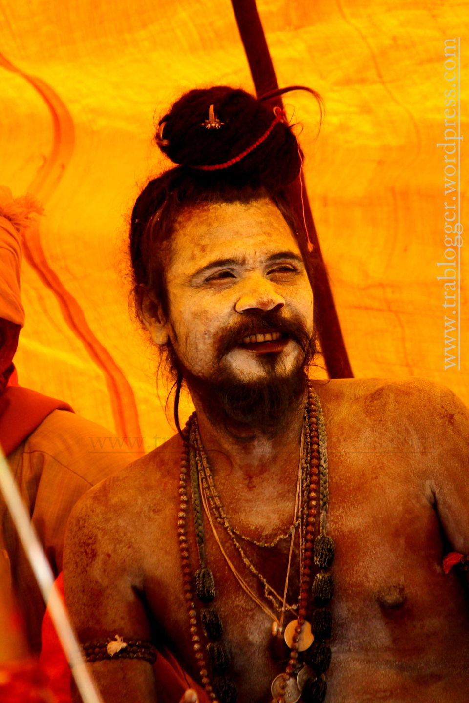 Photo of Portraits of Naga sadhus from Nashik Kumbh Mela 2015 2/8 by Trablogger