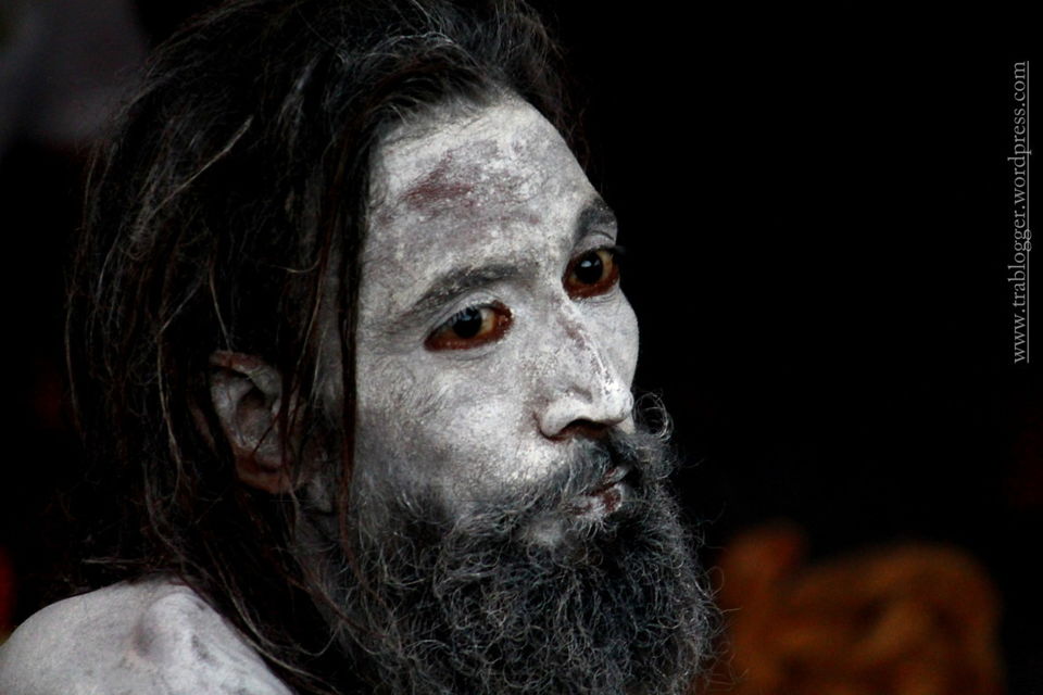 Photo of Portraits of Naga sadhus from Nashik Kumbh Mela 2015 5/8 by Trablogger
