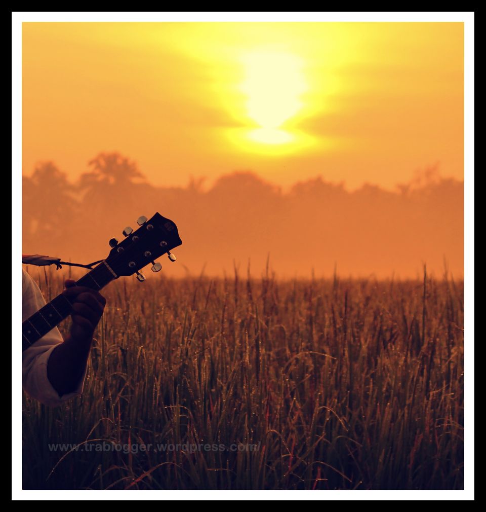 Photo of Postcards from Kerala: A quick photo journey 8/11 by Trablogger